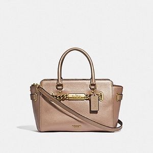 Metallic Coach purse